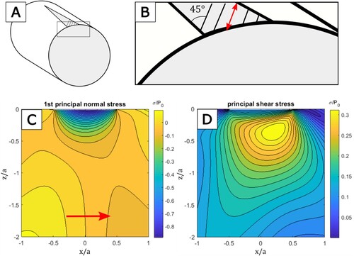 Figure 2. Schematic view of a cross-section of a tested cylinder and Hertzian pressure distribution. The position of the cross-section (A) and illustration of the actual sliding inclined 45 degrees to the length of the specimen along the red arrow (B). The principal normal stress (C) and the principal shear stress (D), simplified to a spherical contact sliding along the red arrow in (B) with low friction (µ = 0.1). The arrow in (C) indicates the direction of sliding.