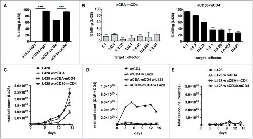 Figure 5. Gene-modified MHC-II compatible CD4+ T cells efficiently kill HRS cells. (A) TCR-negative PM1 cells were transduced with retroviral vectors encoding for anti-CEA (aCEA) or anti-CD30 (aCD30) chimeric antigen receptors (CARs) and co-cultured with GFP-expressing HRS cells (HL cell line L428). Killing efficacy was assessed after 48 h via flow cytometry. (B–E) CD4+ T cells were isolated from HLA-matched (mCD4+) or unmatched (uCD4+) donors and retrovirally transduced to express aCEA- or aCD30-CAR prior to co-culture with HRS cells. Experiments were performed in triplicates and repeated once. (B) Killing efficacy of different target (GFP-expressing HRS cells) to effector (CAR-positive CD4+ T cells) ratios was assessed after 96 h. Importantly, aCD30-mCD4+ T cells showed dose-dependent killing compared to aCEA-mCD4+ control. (C–E) Every 2–3 d T cells and HRS cells were counted by flow cytometry analysis after staining for CD3 and CAR (ratio was 1 aCD30-mCD4+ on 1 HRS cells). (C) Growth curves of HRS cells co-cultured with (w) untransduced, aCEA- or aCD30-mCD4+ T cells in comparison to a corresponding monoculture. (D) Frequency of CAR-positive mCD4+ T cells co-cultured with L428 cells in comparison to untreated or non-transduced control. (E) Frequency of CD3-positive HRS cells (rosettes) over time.