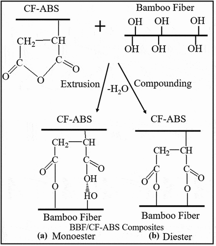 Figure 6. Esterification between BBF and CF-ABS forming (a) monoester and (b) diester.
