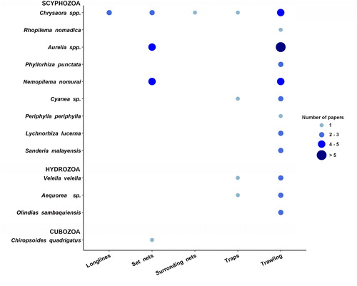 Figure 5. Number of reports of jellyfish taxa interacting with different fishing gears.