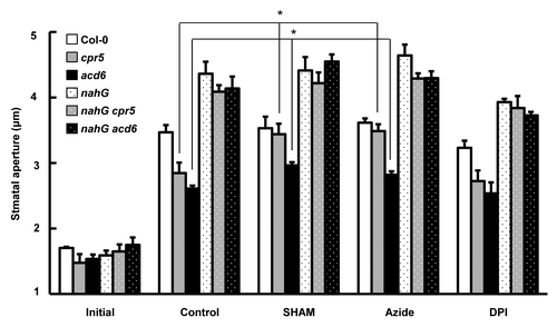 Figure 1. Peroxidases are involved in the inhibition of the stomatal opening of cpr5 and acd6 mutants. Four- to 6-week-old leaves were floated on buffer solution, containing 50 mM KCl, 50 μM CaCl2, 10 mM MES-Tris, pH 6.15. The stomatal aperture was measured after 2 h of incubation in the dark condition (Initial) and after 2 h of incubation in the dark condition and 3 h of incubation under light (Control). SHAM (2 mM), azide (1 μM), or DPI (20 μM) was added to the assay solution 30 min before light condition. Values are means ± SE (n ≥ 3). * indicates a significant difference from Control (P < 0.05), which is determined by the Student t-test.