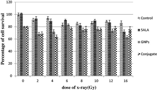 Figure 6. Percentage of cell survival in the presence of 5ALA, GNPs and conjugate with different x-ray doses, 24 h after treatment. The incubation time of GNPs was 4 h. The data are expressed as mean 3 experiments ± standard error of mean.