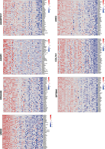 Figure 7 The heat map of correlation analysis related hub genes.