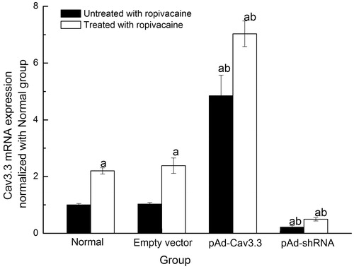 Figure 4. The effects of ropivacaine hydrochloride on Cav3.3 mRNA expression [Display full size %, n=6]. ap < .05 vs normal group, bp < .05 vs normal + R group.