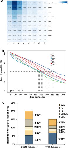 Figure 2. The incidence and survival rate of SPMs in SEER database, 2000–2018. The crude incidence rate of specific lymphoma in SPH database, 2010–2021 and SEER databases, 2010–2018. (a) Heatmaps of the lymphoma survivors with SPMs and (b) Kaplan–Meier analysis for OS of SPMs after lymphoma in SEER database. (c) The comparison of the crude incidence rate of SPMs after specific lymphoma between two databases. Abbreviations: SPMs: second primary malignancies; SPH: Shandong Provincial Hospital; SEER: Surveillance, Epidemiology, and End Results; OS: overall survival; HL: Hodgkin’s lymphoma; CLL: chronic lymphocytic leukemia; FL: follicular lymphoma; DLBCL: diffuse large B-cell lymphoma; MZL: marginal zone lymphoma; BL: Burkitt lymphoma; TCL: T-cell lymphoma; MCL: mantle cell lymphoma.