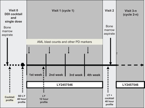 Figure 1 Design of the first-in-human dose study with LY2457546. To evaluate the safety, pharmacokinetics, DDI risk, and pharmacodynamic effects of single-dose (visit 0) and multiple-dose (visit 1, visit 3n) administration of LY2457546, patients first underwent a bone marrow aspirate, which was repeated after multiple-dosing for four weeks (two weeks after amendment, visit 2). During visit 1, patients’ peripheral blast cell counts and changes in phosphoprotein expression were assessed daily and weekly, respectively. The DDI cocktail was administered prior to taking a single dose (approximately seven days prior to the single dose of LY2457546) and again after two or four weeks (after amendment) of multiple doses of LY2457546 (visit 2). The pharmacokinetic profile of LY2457546 was evaluated in the absence of the DDI cocktail as a single dose (48-hour profile) and again after one week of multiple dosing (12-hour profile).Abbreviations: DDI, drug–drug interaction; AML, acute myeloid leukemia; LY, LY2457546.