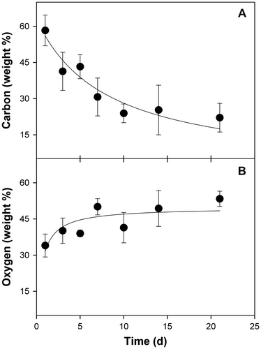 Fig. 3. Change in elemental carbon and oxygen content of coal particles engulfed by fungal mycelia within sclerotia-like structures.Notes: Spores of N. fischeri strain ECCN 84 were inoculated in glutamate medium with added coal, biomass harvested after 21 d at 30 °C, and analyzed by EDS as described in Materials and methods. Data are the mean of at least three determinations ± SD.