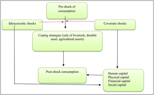 Figure 1. Conceptual framework.Source: Adopted from Sustainable Livelihood Framework (SLS), Gao and Mills (Citation2018) work based on empirical literature review.