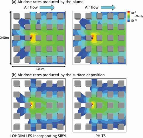 Figure 5. Spatial distributions of the air dose rates of 137Cs produced by (a) the plume and (b) surface deposition at a height of 1 m. The circle indicates the point source location