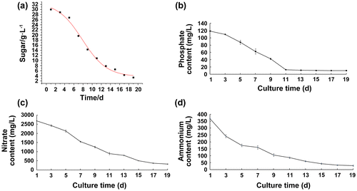Fig. 3. Dynamic change of nutrients in A. lobata D. Don culture.