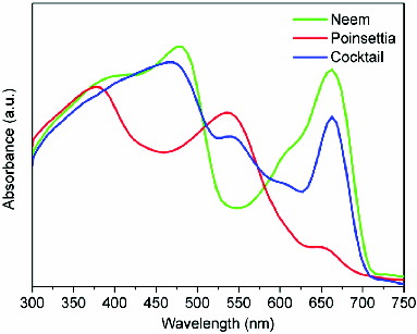 Figure 7. UV–visible absorption spectra of Neem, poinsettia and cocktail dyes.