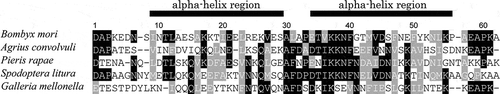 Figure 3. An alignment of amino acid sequences of HemaP and HemaP-like peptides. Amino acid sequences of HemaP and HemaP-like peptides of B. mori, Agrius convolvuli, Pieris rapae, Spodoptera litura, and Gallaria mellonella, were identified from purified peptides and in silico researches. Highly conserved and similar amino acid residues among aligned sequences are shaded in black and gray, respectively.