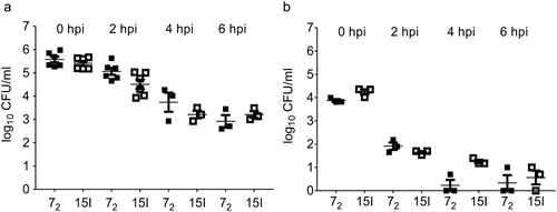 Figure 5. Phagocytic and bactericidal activity of lung leukocytes. Gradient purified lung leukocytes of inbred lines 72 and 15I were inoculated with (a) an MOI = 100 or (b) an MOI = 10 in vitro, and the phagocytic (0 hpi) and bactericidal (2, 4, 6 hpi) activity determined by enumerating viable bacteria. (a) n = 3–6 (n = 3 at 4 and 6 hpi due to limitations with bird numbers), (b) n = 3. The mean with SEM is shown.