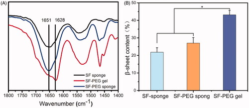 Figure 1. The secondary structure of various SF materials determined by FTIR. (A) FTIR spectra of various samples. (B) a β-sheet content analysis. *p < .05.
