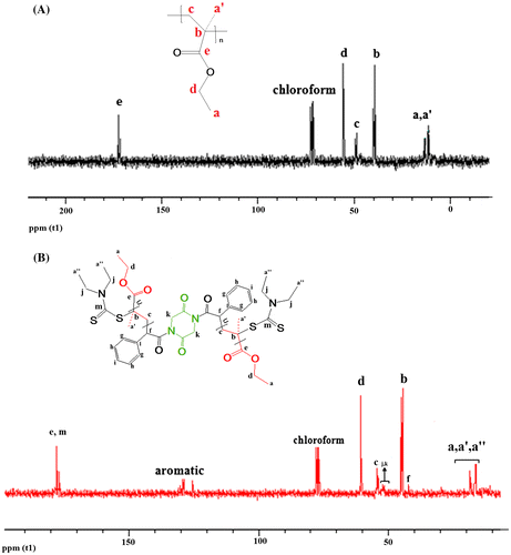 Figure 3. The 13C NMR spectra of TRP-PEMA (A) and RAFT-PEMA (B) in CDCl3.