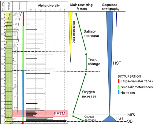Fig. 11 Outline of biofacies trends combined with sequence stratigraphy of core BH9/05. The following terms are abbreviated: sequence boundary (SB), transgressive systems tract (TST), maximum flooding surface (MFS) and highstand systems tract (HST).