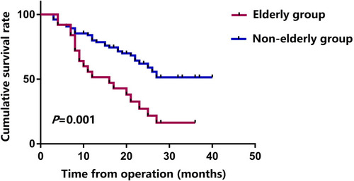 Figure 6 Overall survival curve in two groups.