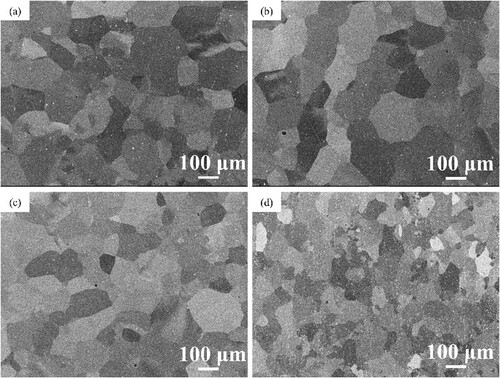 Figure 2. SEM images of the microstructure of small pieces from the four scrap profiles: (a) 1, (b) 2, (c) 3, (d) 4.