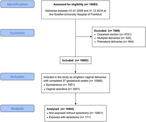 Figure 1. Flowchart of the study cohort.