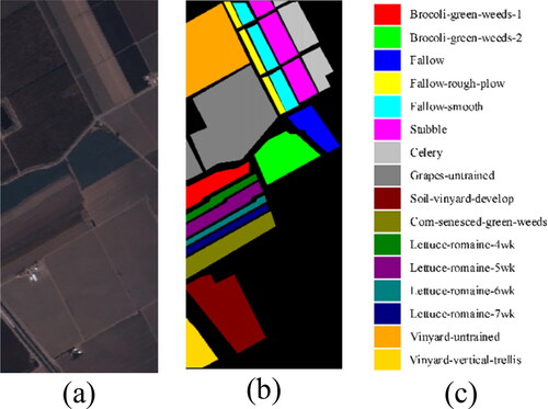 Figure 6. False-colour composition and the ground truth of the SA dataset.