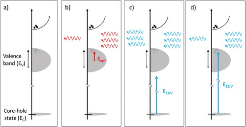 Figure 16. a) Sketch of the electronic structure of a sample after excitation by an EUV pulse, with a small population of excited electrons/holes in the bottom/top of the conduction/valence band. EV and EC are, respectively, the energy extension of the valence band and the core-hole transition energy. This situation is representative of the condition found in the spatial locations of the sample corresponding to constructive EUV TG interference for Δt<\,τe−l. Panel b) shows how this electroni structure is “seen” by an optical probe with photon energy Eopt≈\,EV≪EC, which is mainly absorbed via intraband transitions (red vertical arrow), as explained in section 3.3.1. Panel c) considers a non-resonant EUV probe (EEUV≠EC and EEUV≫EV; blue vertical arrow). These photons cannot interact with the sample through intraband transitions nor by exciting core-hole states. They can obviously interact with valence electrons; however, as long as the variations of the pump-induced electronic populations in the valence and conduction bands are not substantial (as in the present class of experiments), these changes have a marginal effect. The contrast of the electronic population grating as “seen” by the non-resonant EUV probe is thus very weak. Panel d) illustrates the case EEUV\,≈\,EC: now the EUV photons impinging in the sample locations featured by constructive TG interference can generate core-hole states.