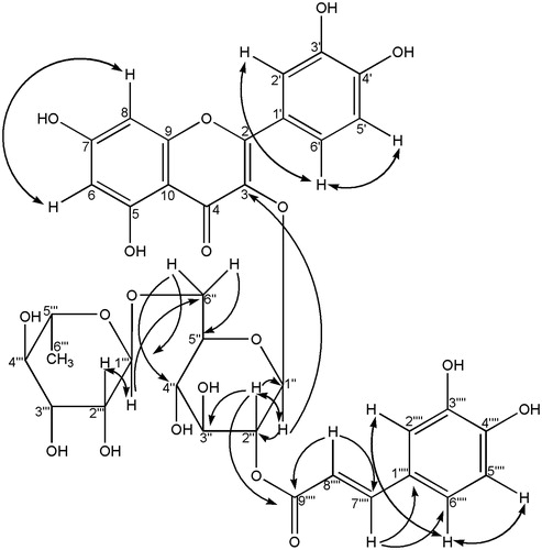 Figure 2. HMBC (→) and 1H-1H COSY (↔) assignments of compound 7.