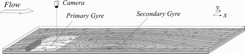 Figure 3. Illustration of the experimental set-up of the single groyne. Measurement section highlighted in white. (Not to scale.)