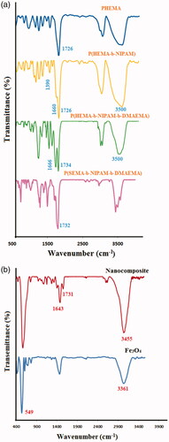 Figure 1. FT-IR spectra of poly(HEMA), poly(HEMA-b-NIPAM), poly(HEMA-b-NIPAM-b-DMAEMA) and poly(SEMA-b-NIPAM-b-DMAEMA) (a); nanocomposite and Fe3O4 (b).