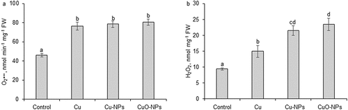Figure 4. Effect of Cu, Cu-NPs or CuO-NPs (concentration 1 µg L−1) on superoxide anion (O2•−) (a) and hydrogen peroxide (H2O2) (b) levels. Vertical bars indicate ± SD. Duncan’s multiple range test was used to test for significance of differences (p ≤ 0.05). Mean values with different letters (a-d) are significantly different (p < 0.05).