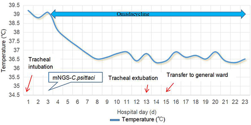 Figure 2 Body temperature and antimicrobial treatment during hospitalisation with meropenem at 1.0 g ivgtt Q8h (days 1–3), moxifloxacin at 0.4 g ivgtt Qd (days 1–3), oseltamivir at 75 mg po Q12h (days 1–3), and omadacycline at 100 mg ivgtt Q12 h (day 3), 100 mg ivgtt Qd (days 4–14), and 300 mg po Qd (days 15–23).