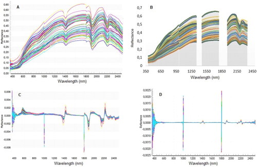 Figure 2. (A) Raw soil reflectance spectra, (B) raw soil spectra with noisy ends removed, (C) first derivative (FD) and (D) second derivative (SD).