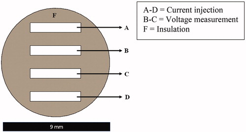 Figure 2. A cross-sectional layout view of the custom-made bioimpedance probe with four rectangular high purity silver electrodes (A–D) inside the 3D printed insulation block (F).