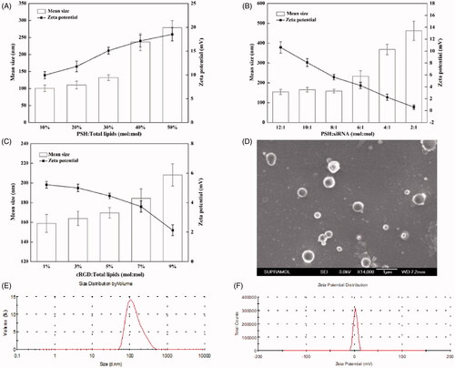 Figure 2. Formulation optimization and characterization of cRGD-PSH-NP/S. (A) Mean particle sizes and zeta potentials of PSH-NP at various PSH/Total lipids molar ratios from 10% to 50%. (B) Mean particle sizes and zeta potentials of PSH-NP/S at various PSH/siRNA molar ratios from 12:1 to 2:1. (C) Mean particle sizes and zeta potentials of cRGD-PSH-NP/S at various cRGD/Total lipids molar ratios from 1% to 9%. (D) SEM image of cRGD-PSH-NP/S at cRGD/Total lipids molar ratio = 5%. (E) Diameter distribution of cRGD-PSH-NP/S at cRGD/Total lipids molar ratio = 5%. (F) Zeta potential distribution of cRGD-PSH-NP/S at cRGD/Total lipids molar ratio = 5%.