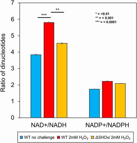 Figure 7. Measurements of cellular dinucleotides using a luciferase-based assay. Ratios of NAD+/NADH and NADP+/NADPH were calculated to determine the relative abundance