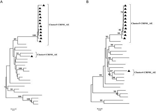 Figure 5. The phylogenetic analysis of pol, env sequences obtained by SGA from the second whole blood sample of the man. The man is marked black triangle ▴. (A) The Maximum-likelihood tree of pol sequences; (B) The Maximum-likelihood tree of env sequence.