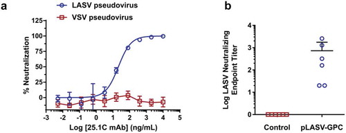 Figure 4. Pre-challenge LASV-specific neutralizing antibodies. (a) Specific, dose-dependent neutralization of LASV, but not VSV, pseudovirus by LASV GPC-specific monoclonal antibody 25.1C. (b) Pre-challenge NHP serum samples collected at weeks 0 and 6 post-immunization were measured for LASV pseudovirus neutralizing activity and neutralizing EPTs calculated as described in the methods.