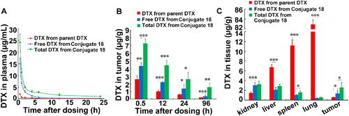 Figure 5. Pharmacokinetics and distribution of the conjugate 18 in xenograft mice bearing 4T1 cells. (A) Free DTX and total DTX contents in plasma. (B) Free DTX and total DTX contents in tumor after mice were injected with parent DTX and the conjugate 18. (C) Free DTX and total DTX contents in tissues after mice were injected with the conjugate 18 for 24 h. *p < .05, ***p < .001. Data were presented as mean ± SD (n = 5).