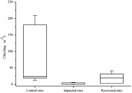 Figure 4. Biomass of benthic algae (measuring with Ch1a) at sampling sites.