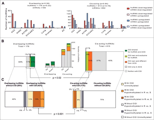 Figure 3. Bioinformatic and in silico analysis of lncRNA epigenetic regulation in resistance. (A) Overall view of the lncRNAs with significant changes in expression between resistant and sensitive cell lines, according to their relationship with the associated mRNA transcript identified in the array. The left panel represents overlapping lncRNAs, whereas the right panel represents cis-acting lncRNAs. (B) Identification of possible regulatory regions under methylation and distribution according to overlapping or cis-acting groups. The graphic in the middle represents the number of lncRNAs grouped by expression pattern and according to the location of their CGI. (C) Distribution of the methylation detected by WGBS in the six groups indicated with squares and comparison between cis and overlapping lncRNAs. Chi-squared test was used for statistical analysis and P < 0.05 was considered statistically significant.