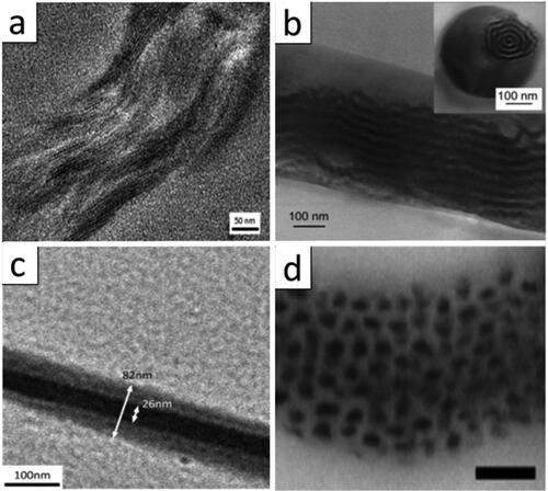 Figure 7. (a) TEM image of conjugated diblock copolymer nanofibers along the fiber axis (adapted from [Citation97]); (b) TEM image of coaxial BCP fiber after thermal annealing (adapted from [Citation98]); (c) TEM image of core-shell structure fiber by BCP electrospinning (adapted from [Citation101]); (d) TEM images of BCP fiber along fiber axis (scale bar 100 nm, adapted from [Citation99]).