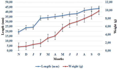 Figure 5. Changes in length and weight during study months.