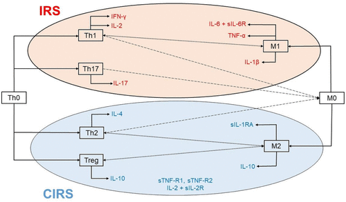 Figure 1 Simplified schematic diagram of crucial immune cells and mediators involved in inflammatory response system (IRS) and compensatory immune response system (CIRS) pathways in major depression. IRS pathway includes: 1. activated M1 macrophages releasing interleukin (IL)-1β, IL-6 associated with soluble IL-6 receptor (sIL-6R), tumor necrosis factor α (TNF-α); 2. activated T helper 1 cells (Th1) releasing IFN-γ; and 3. activated Th17 cells releasing IL-17. CIRS pathway consists of: 1. activated M2 macrophages releasing IL-10; 2. activated Th2 cells releasing IL-4; and 3. activated T regulatory (Treg) cells releasing IL-10. Other markers involved in CIRS pathway include soluble cytokine receptors (sIL-2R, sTNF-R1, sTNF-R2) and soluble IL-1 receptor antagonist (sIL-1RA). Macrophages and T-lymphocytes interplay with each other and can drive their polarization. More specifically, Th cells (Th1, Th2, Th17) drive the polarization of M0 to M1 and/or M2 macrophages. Moreover, Th1 cells bi-directionally interact with M1, while Th2 and Treg cells with M2.