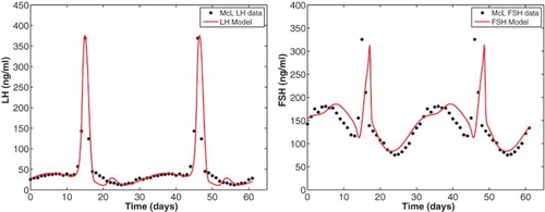 Figure 7. Pituitary hormones LH and FSH for the merged model Equations (Equation5(5) ddtRPLH=v0LH+v1LHE2(t−dE)aKmLHa+E2(t−dE)a1+P4(t−dP)KiLH,P−kLH(1+cLH,PP4)RPLH1+cLH,EE2,(5) )–(Equation20(20) InhA=h0+h1DomF+h2Lut2+h3Lut3+h4Lut4.(20) ) with parameters of Table 2 are plotted against the McLachlan data [Citation23] for two cycles.