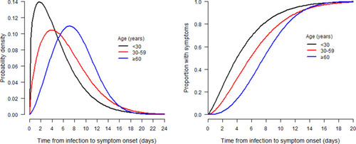 Figure 2 Probability density function (left panel) and cumulative distribution function (right panel) of the Weibull distribution used to estimate the distribution of incubation periods by age group for 180 COVID-19 cases in Hubei, China.