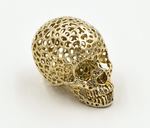 Voronoi Human Skull.