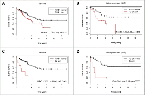 Figure 5. Prognostic impact of PD-L1 CNG in STS (TCGA cohort). PD-L1 CNG were associated with shortened overall survival in (A) the entire TCGA cohort (162 patients, 56 events) and (B) in the LMS subcohort 63 patients, 22 events). Chromosome 9p gains were associated with shortened overall survival (C) in the entire TCGA cohort (162 patients, 56 events) and (D) in the LMS subcohort (63 patients, 22 events).