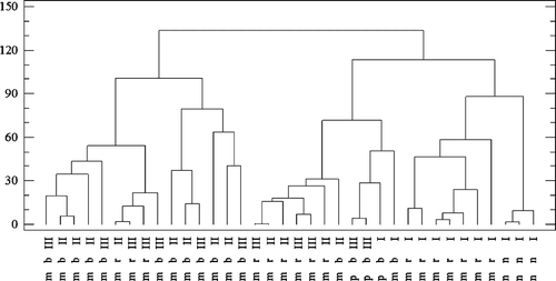 Figure 5. Dendrogram presenting similarity within 12 mushroom species resulting from incubation time in artificial gastric juice and their classification (incubation time: I: 15 min; II: 60 min; III: 120 min. Classification: b: lamellar; r: tubular; n: no classification; m: fungi forming mycorrhiza; p: parasitic fungi).