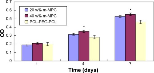 Figure 9 Proliferation of MG63 cells on m-MPC with 20 w% and 40 w% m-MS and on PCL-PEG-PCL (control).Note: *Significant difference (P<0.05).Abbreviations: m-MPC, m-MS and PCL-PEG-PCL composite; m-MS, mesoporous magnesium silicate; OD, optical density; PCL-PEG-PCL, poly(ε-caprolactone)-poly(ethylene glycol)-poly(ε-caprolactone).