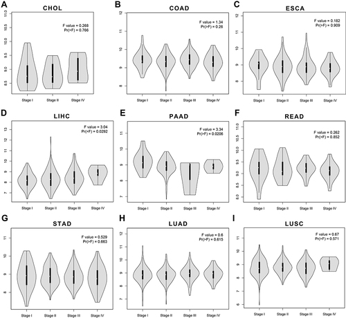 Figure 5 The correlations between TMPRSS2 expression and tumor stages in aerodigestive cancers through GEPIA2. (A–G) Violin plots showing TMPRSS2 expression at different stages of CHOL, COAD, ESCA, LIHC, PAAD, READ and STAD (cancers of the digestive tracts). (H–I) Violin plots showing TMPRSS2 expression at different stages of lung cancers, including LUAD and LUSC.