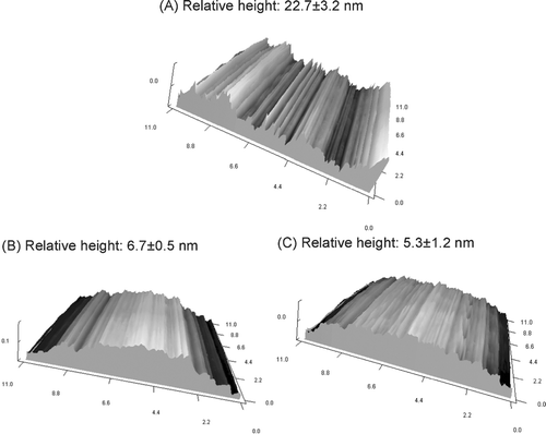 FIG. 4 Surface atomic force microscopic (AFM) images of hydrogels after the freeze-drying process composed of (A) PNIPAAm, (B) CPN-L, and (C) CPN-H at a concentration of 15% (w/w). The roughness of the surface represented by the relative height is shown above the image.